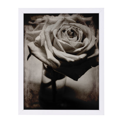 White Rose By Chaos & Wonder Design - White Framed Print - Wall Art - Americanflat