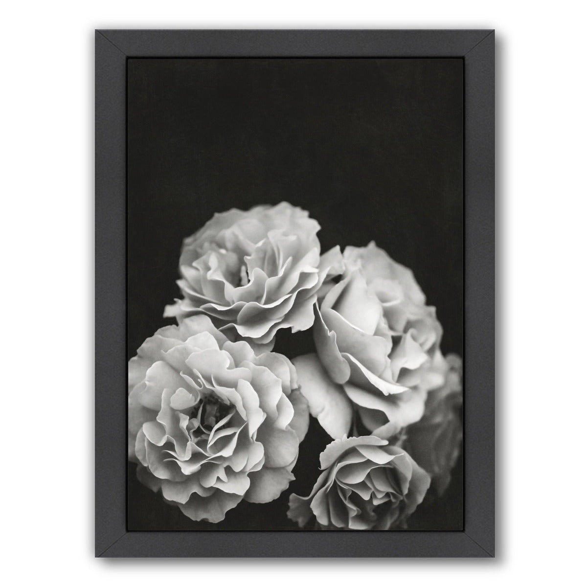 Moody Roses By Chaos & Wonder Design - Black Framed Print - Wall Art - Americanflat