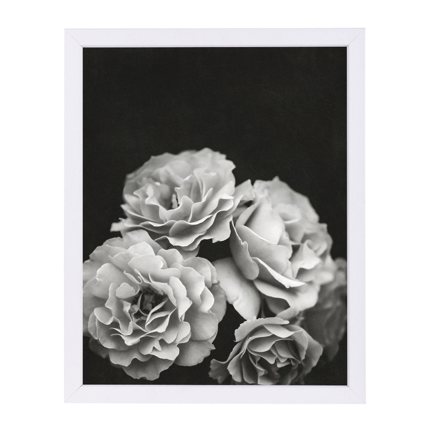 Moody Roses By Chaos & Wonder Design - Framed Print - Americanflat