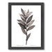 Star Solomans Seal By Chaos & Wonder Design - Black Framed Print - Wall Art - Americanflat