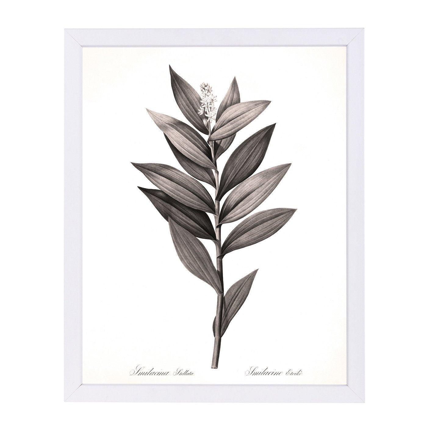Star Solomans Seal By Chaos & Wonder Design - Framed Print - Americanflat