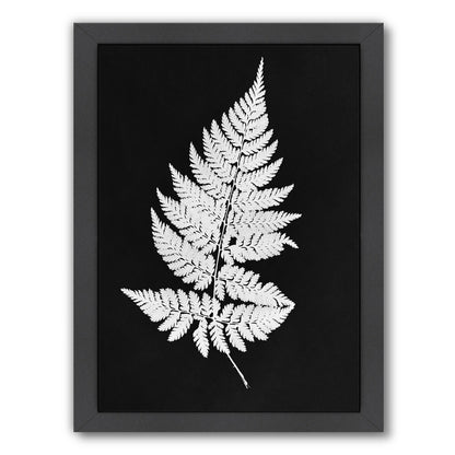 White Fern I Master Layer By Chaos & Wonder Design - Black Framed Print - Wall Art - Americanflat
