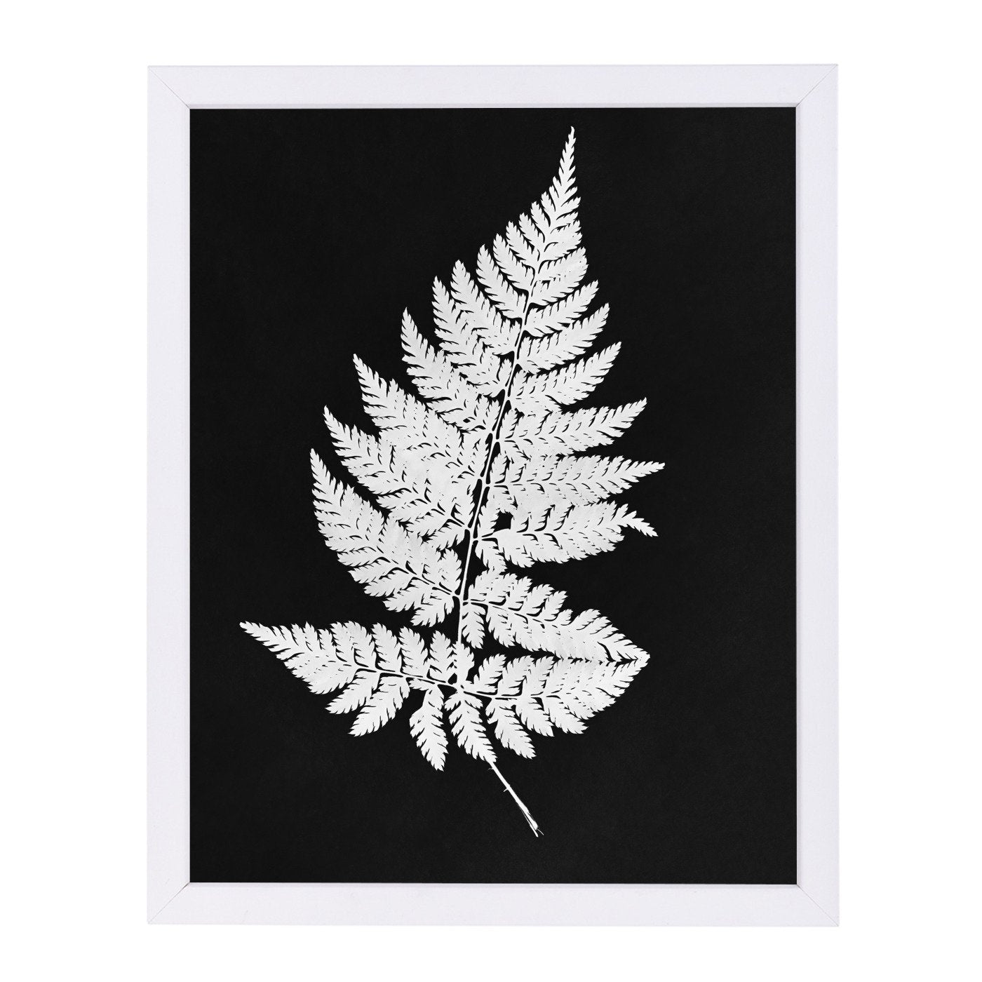 White Fern I Master Layer By Chaos & Wonder Design - Framed Print - Americanflat