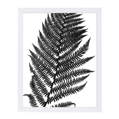Black Fern Ii By Chaos & Wonder Design - White Framed Print - Wall Art - Americanflat
