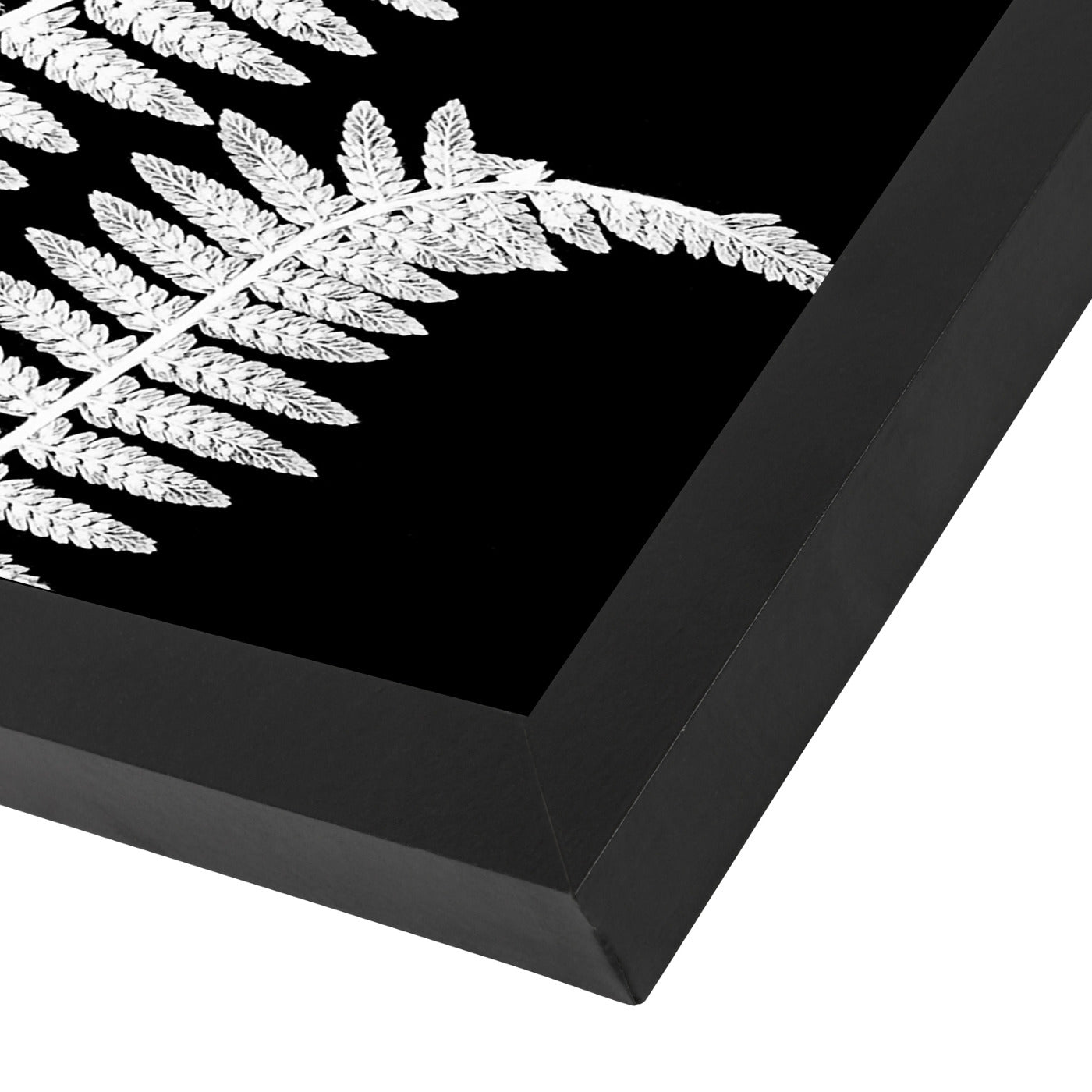 White Fern Ii By Chaos & Wonder Design - Black Framed Print - Wall Art - Americanflat