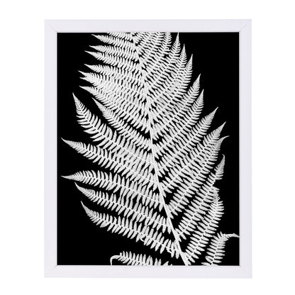 White Fern Ii By Chaos & Wonder Design - White Framed Print - Wall Art - Americanflat