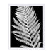 White Fern Ii By Chaos & Wonder Design - White Framed Print - Wall Art - Americanflat