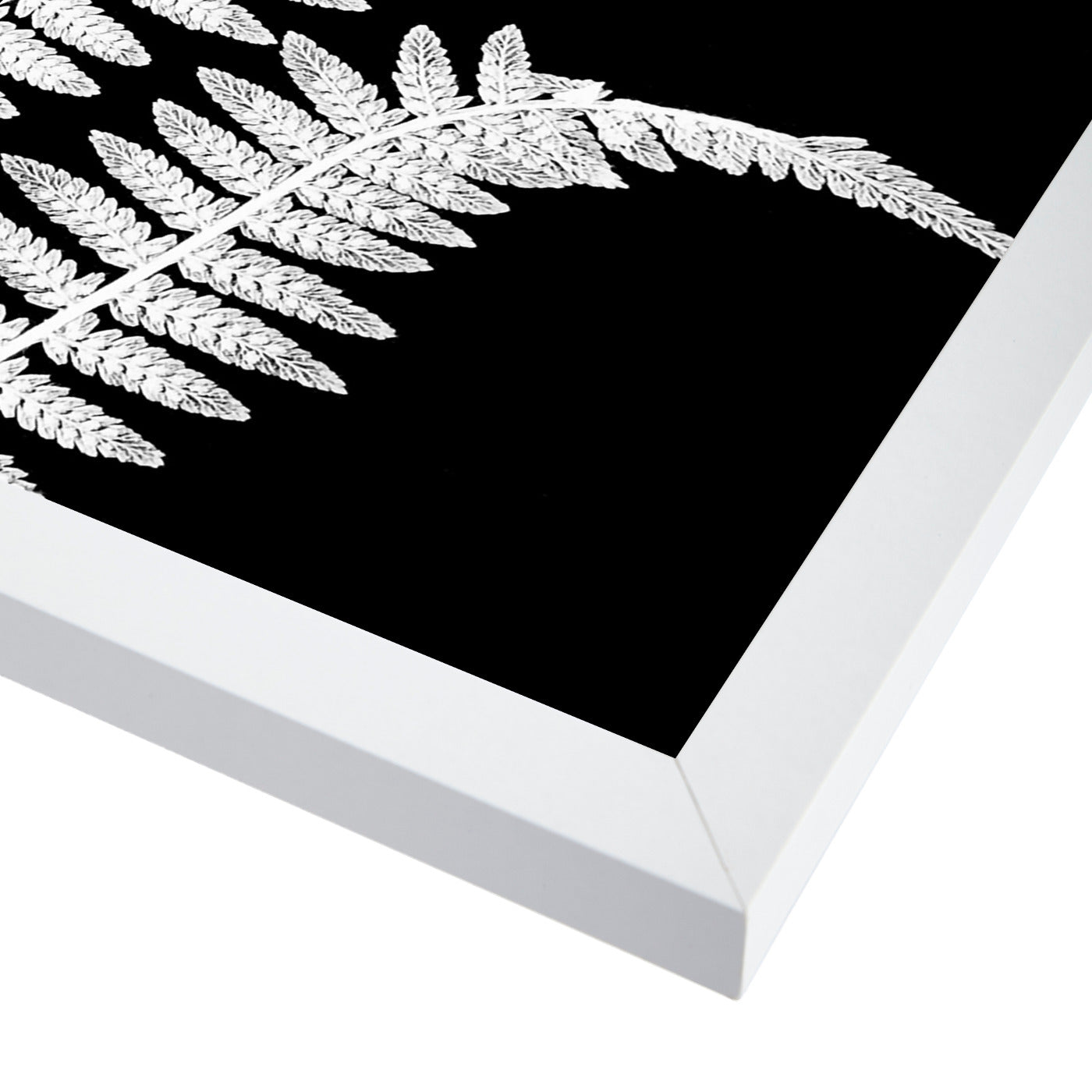White Fern Ii By Chaos & Wonder Design - White Framed Print - Wall Art - Americanflat
