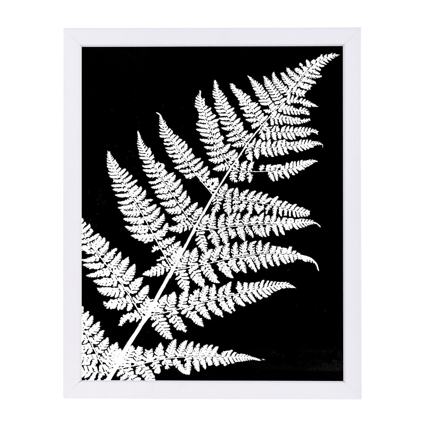 White Fern Iii By Chaos & Wonder Design - Framed Print - Americanflat