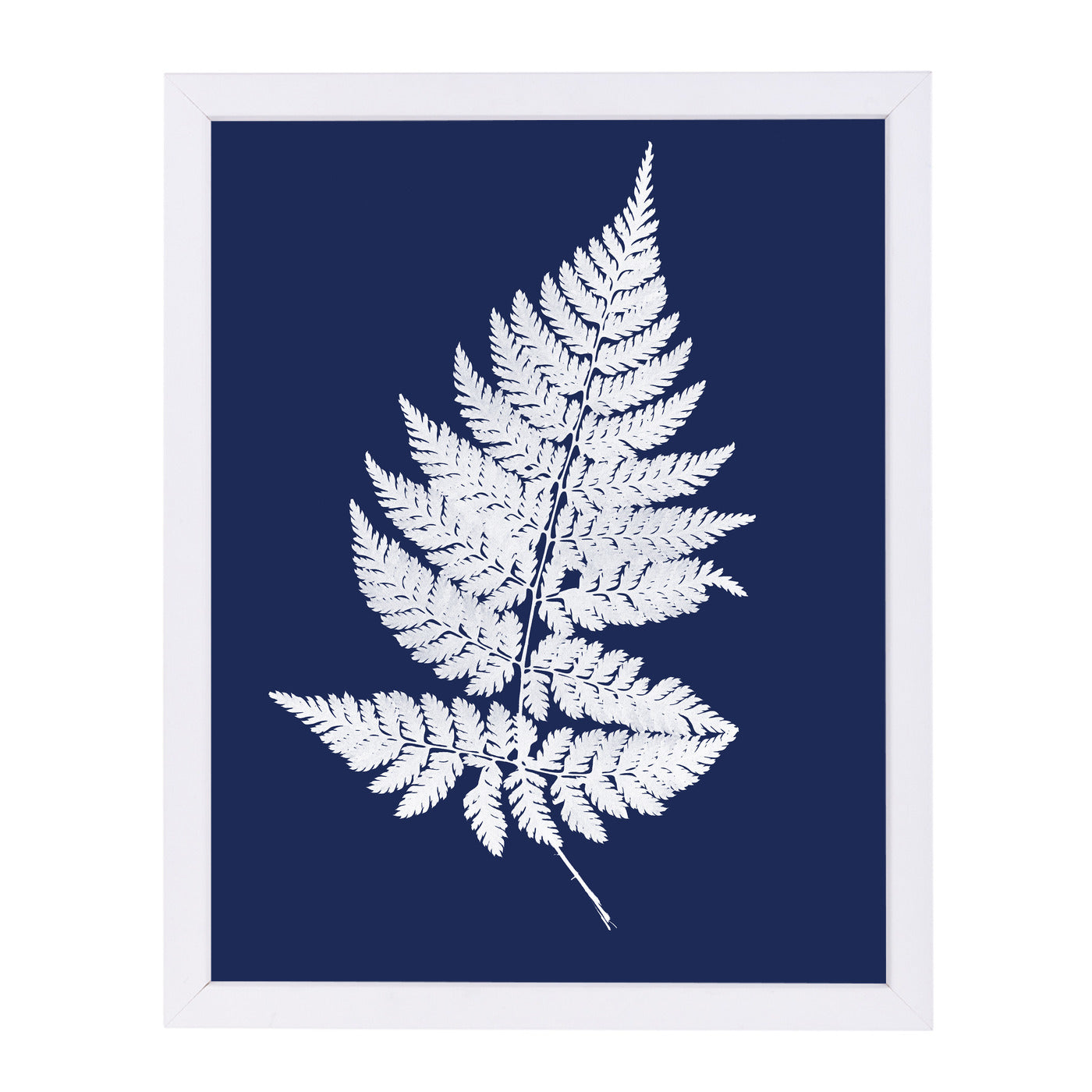 White Fernon Navy By Chaos & Wonder Design - White Framed Print - Wall Art - Americanflat