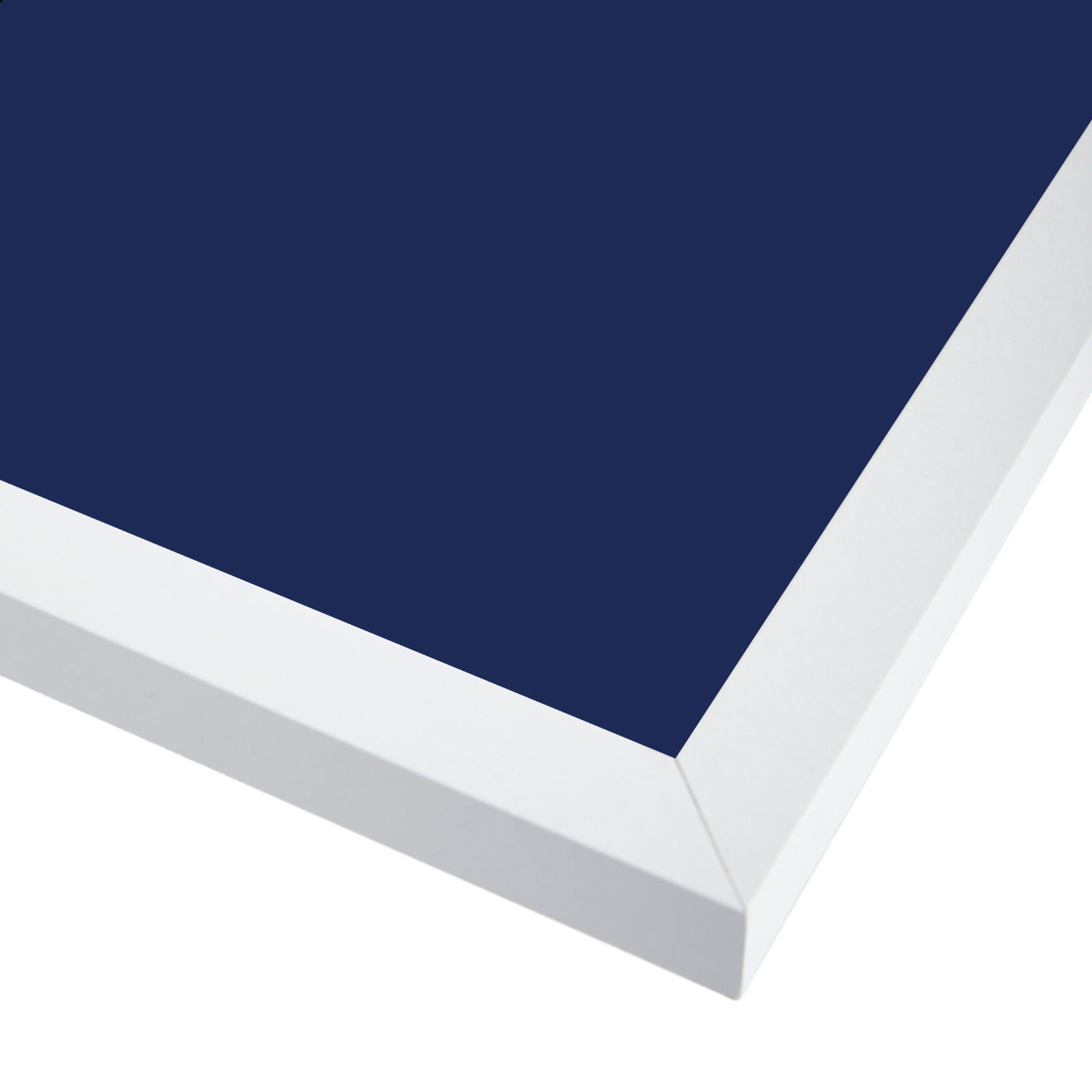 White Fernon Navy By Chaos & Wonder Design - White Framed Print - Wall Art - Americanflat