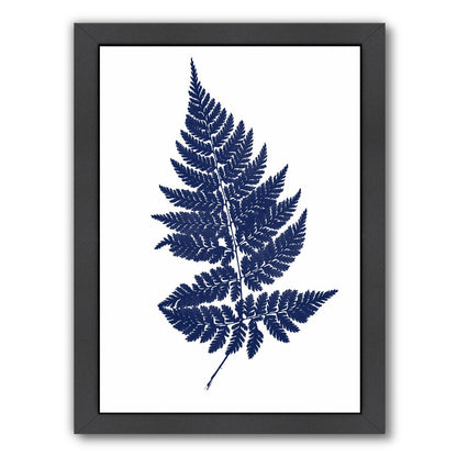 Blue Fernon White By Chaos & Wonder Design - Black Framed Print - Wall Art - Americanflat