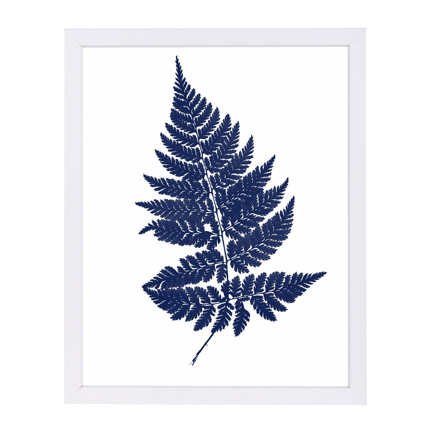 Blue Fernon White By Chaos & Wonder Design - Framed Print - Americanflat