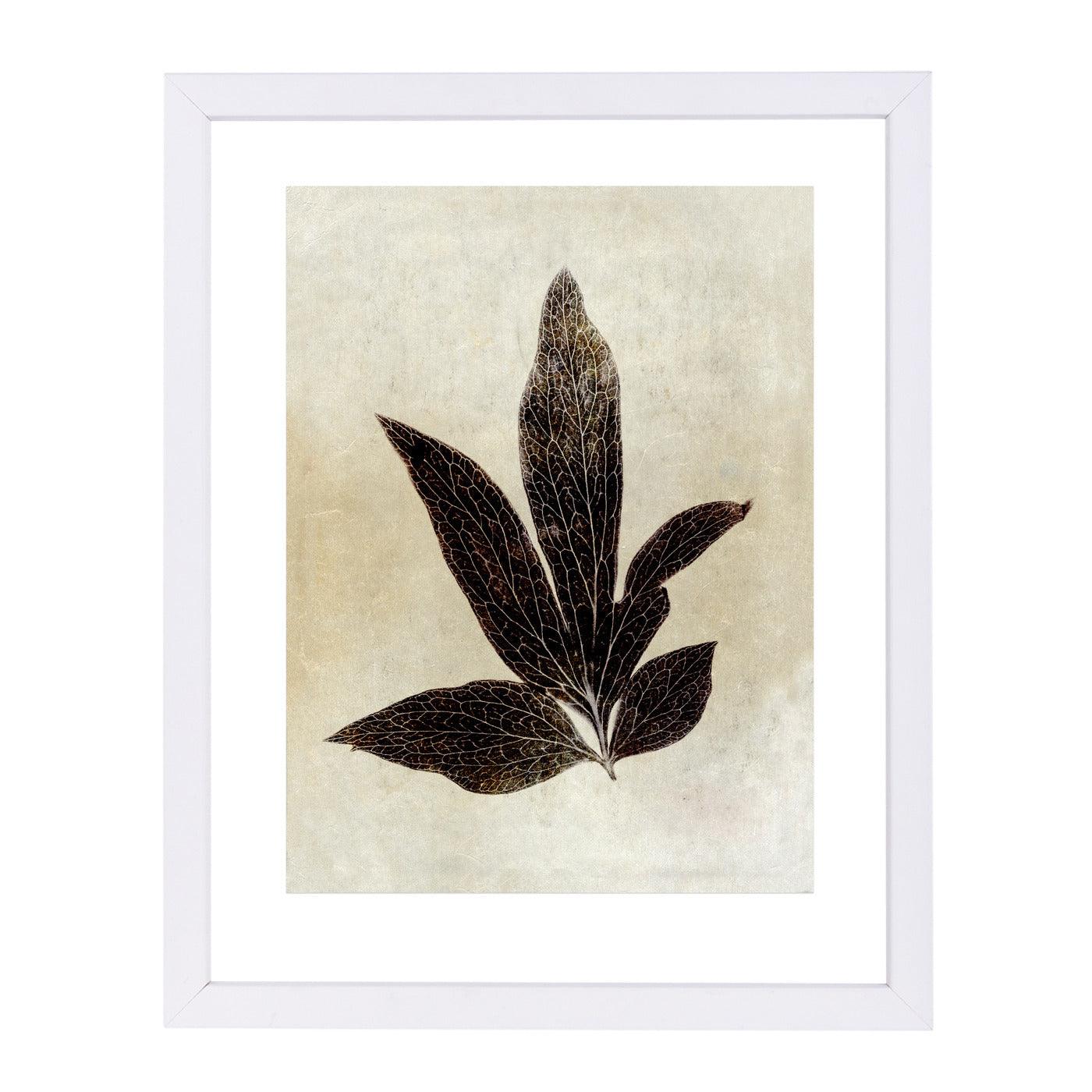 Sepia Leaf Collage I By Chaos & Wonder Design - White Framed Print - Wall Art - Americanflat