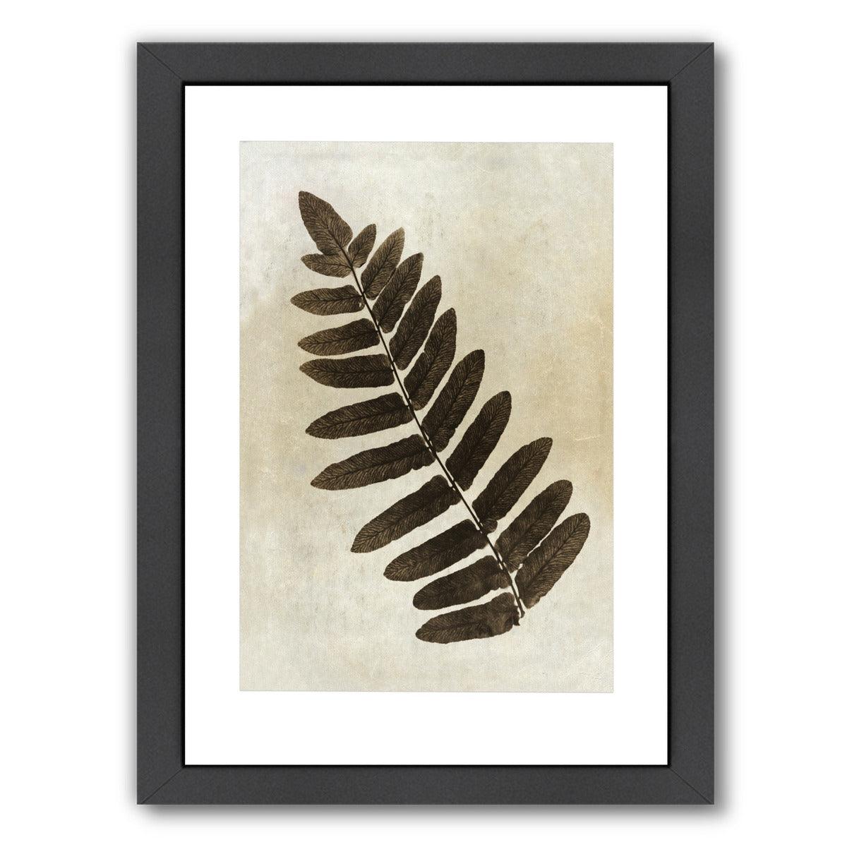 Sepia Leaf Collage Ii By Chaos & Wonder Design - Black Framed Print - Wall Art - Americanflat
