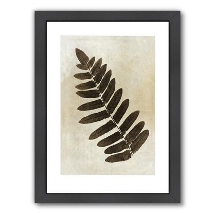 Sepia Leaf Collage Ii By Chaos & Wonder Design - Black Framed Print - Wall Art - Americanflat