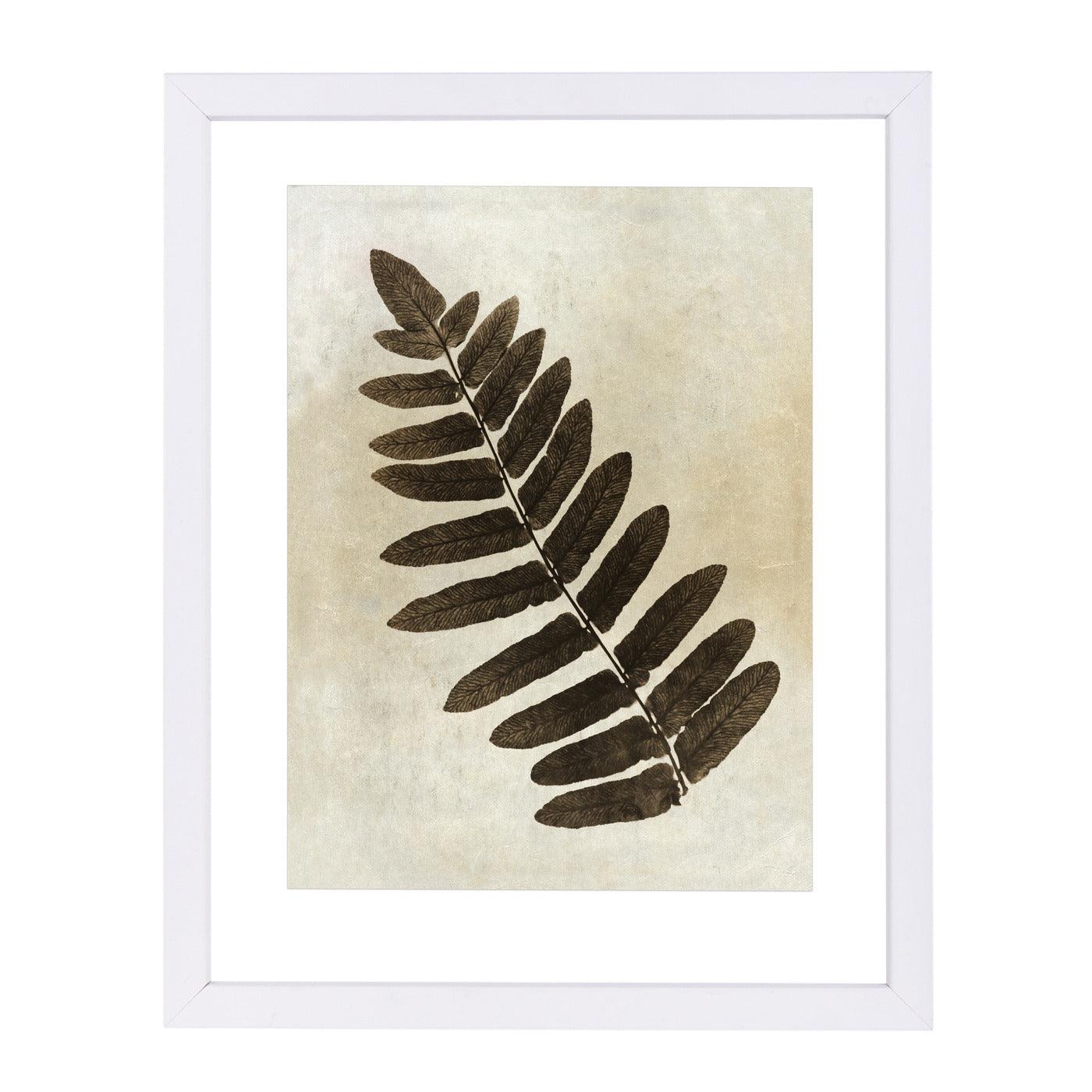 Sepia Leaf Collage Ii By Chaos & Wonder Design - White Framed Print - Wall Art - Americanflat