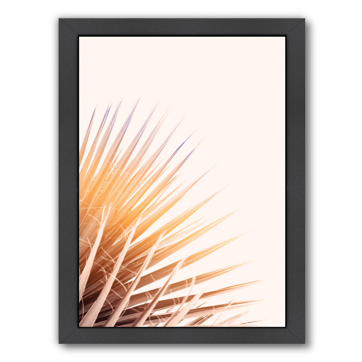 Pastel Palm By Chaos & Wonder Design - Black Framed Print - Wall Art - Americanflat