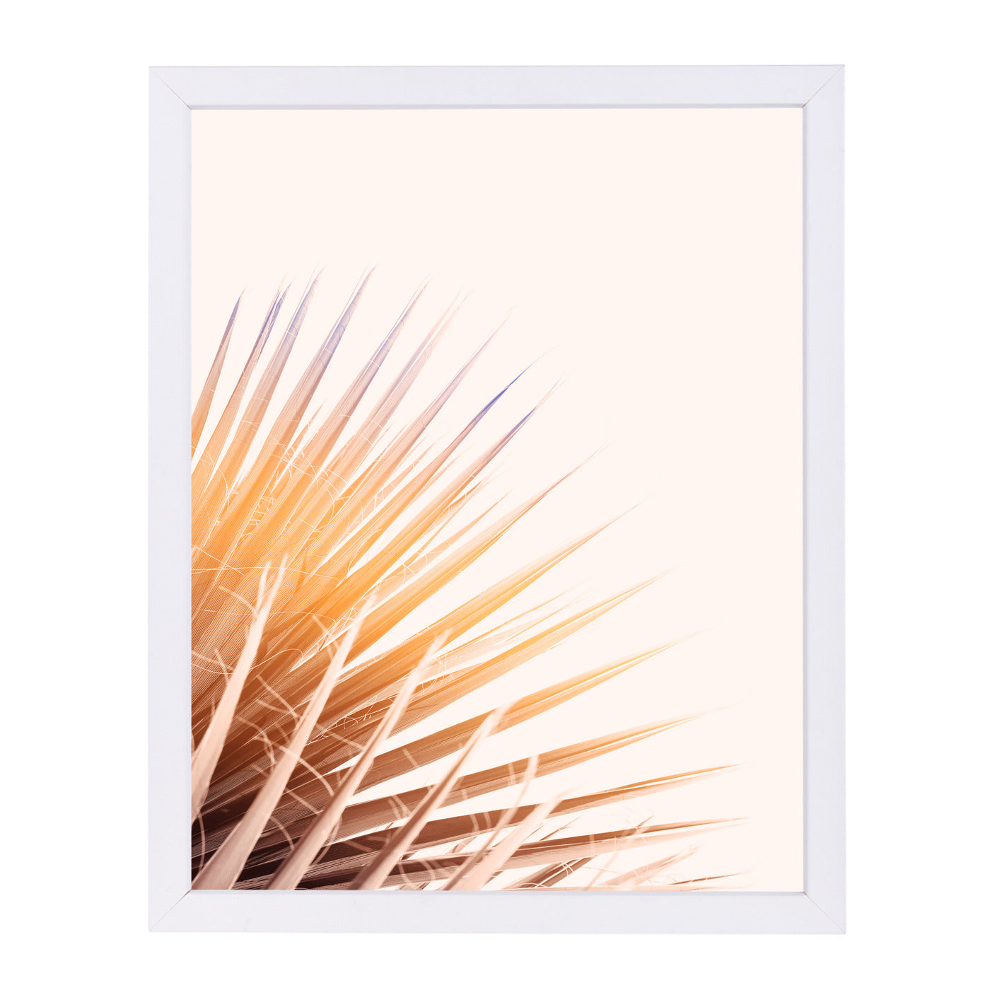 Pastel Palm By Chaos & Wonder Design - White Framed Print - Wall Art - Americanflat