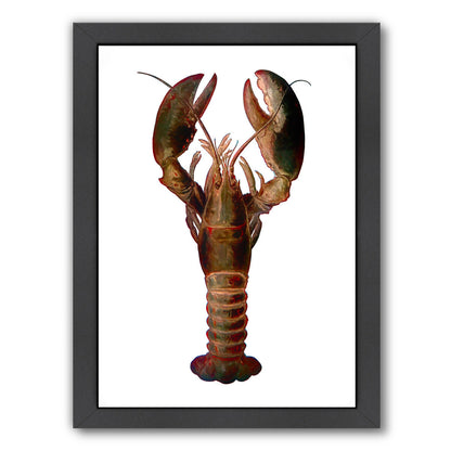 Lobster By Chaos & Wonder Design - Black Framed Print - Wall Art - Americanflat