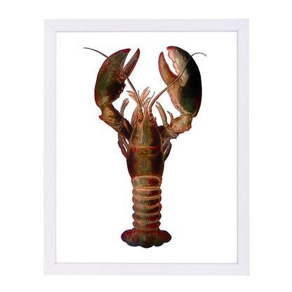Lobster By Chaos & Wonder Design - White Framed Print - Wall Art - Americanflat