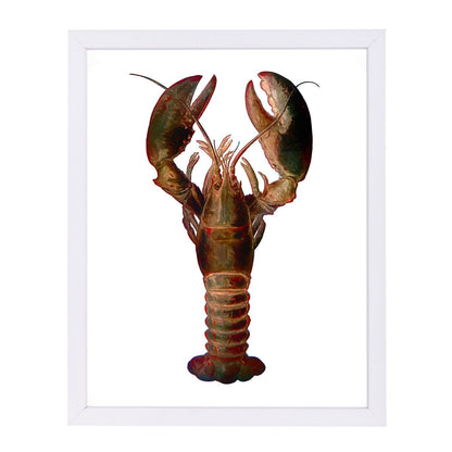 Lobster By Chaos & Wonder Design - Framed Print - Americanflat