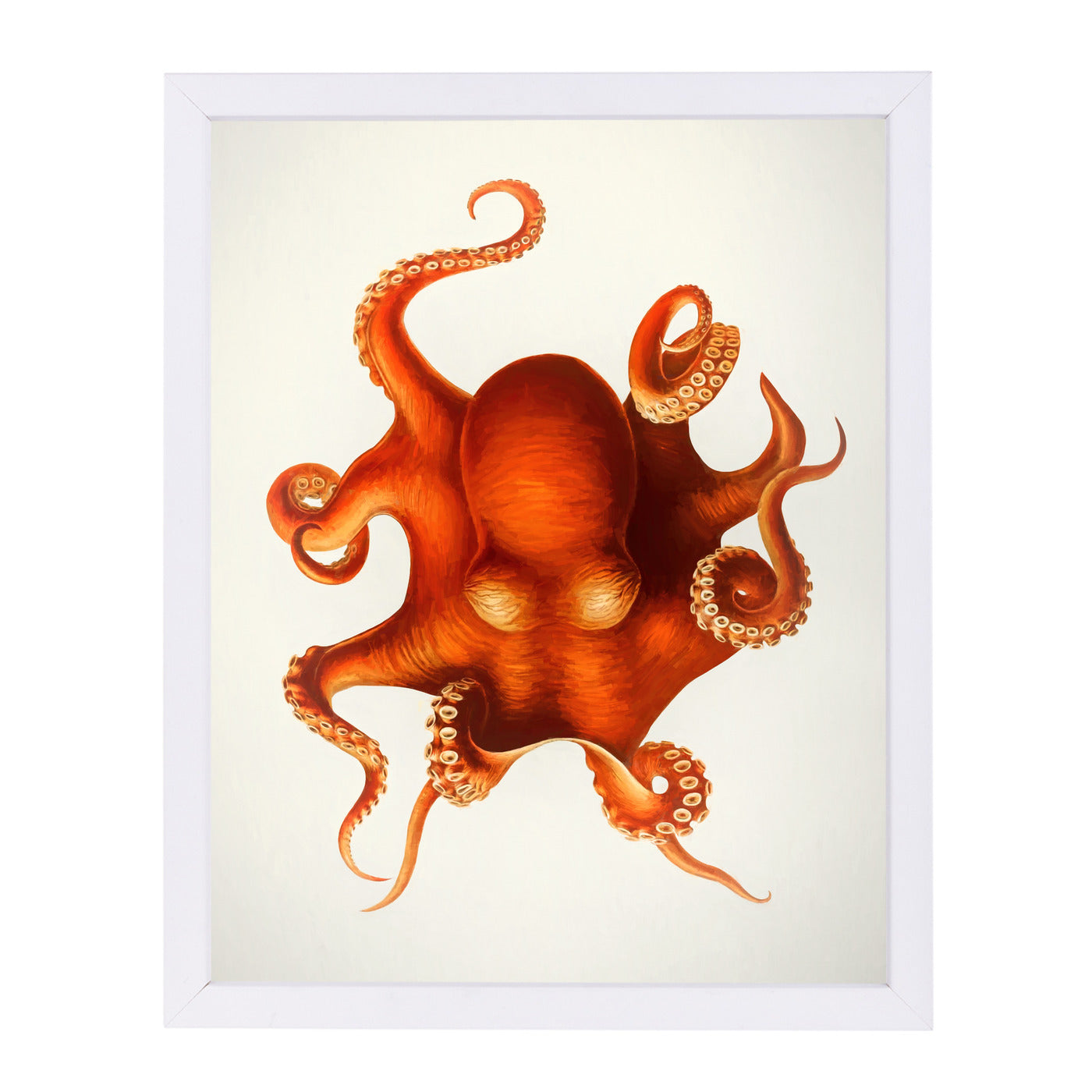 Vintage Octopus By Chaos & Wonder Design - White Framed Print - Wall Art - Americanflat