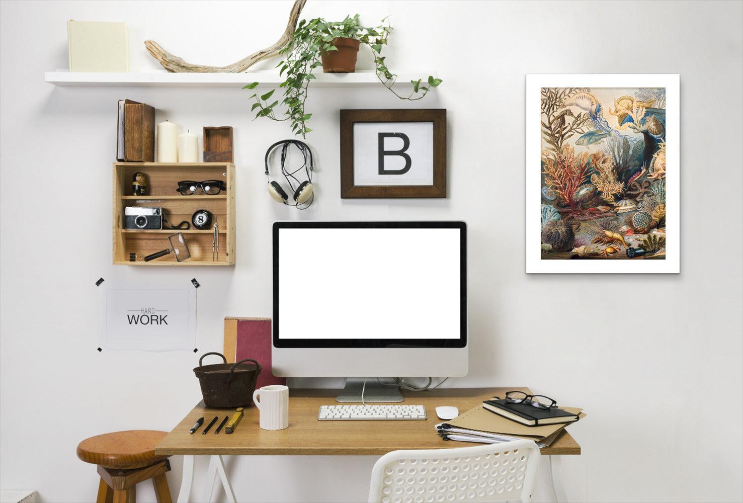 Sealife I By Chaos & Wonder Design - White Framed Print - Wall Art - Americanflat