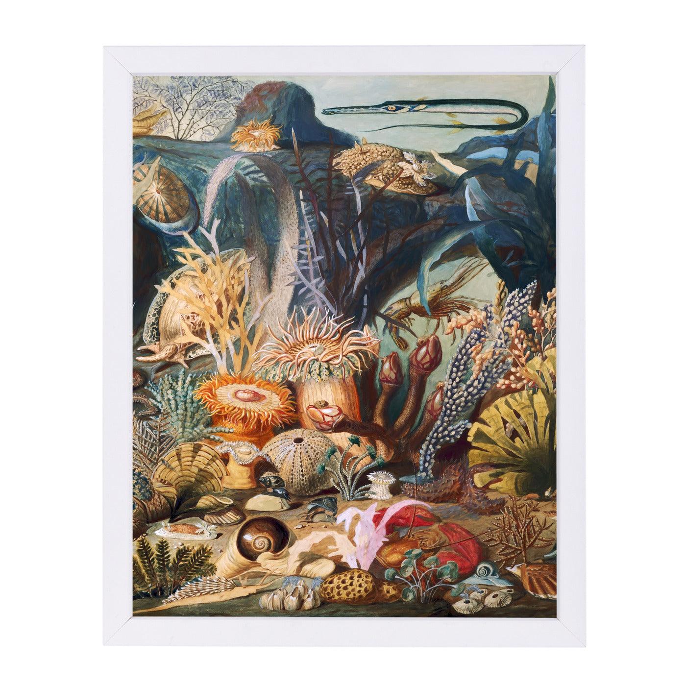 Sealife Ii By Chaos & Wonder Design - White Framed Print - Wall Art - Americanflat