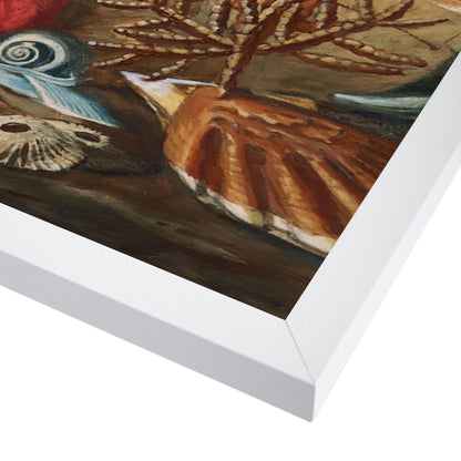 Sealife Ii By Chaos & Wonder Design - White Framed Print - Wall Art - Americanflat