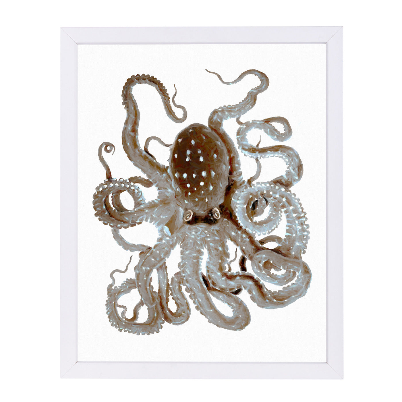Octopus By Chaos & Wonder Design - White Framed Print - Wall Art - Americanflat