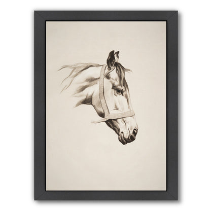 Horse Head I By Chaos & Wonder Design - Black Framed Print - Wall Art - Americanflat