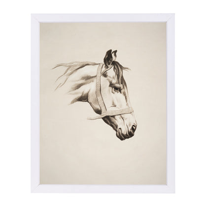 Horse Head I By Chaos & Wonder Design - White Framed Print - Wall Art - Americanflat