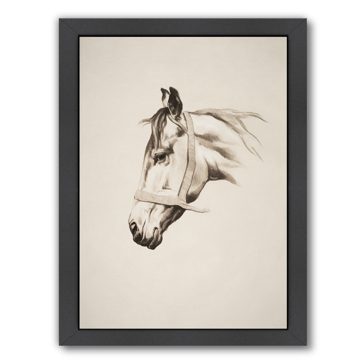 Horse Head Ii By Chaos & Wonder Design - Black Framed Print - Wall Art - Americanflat