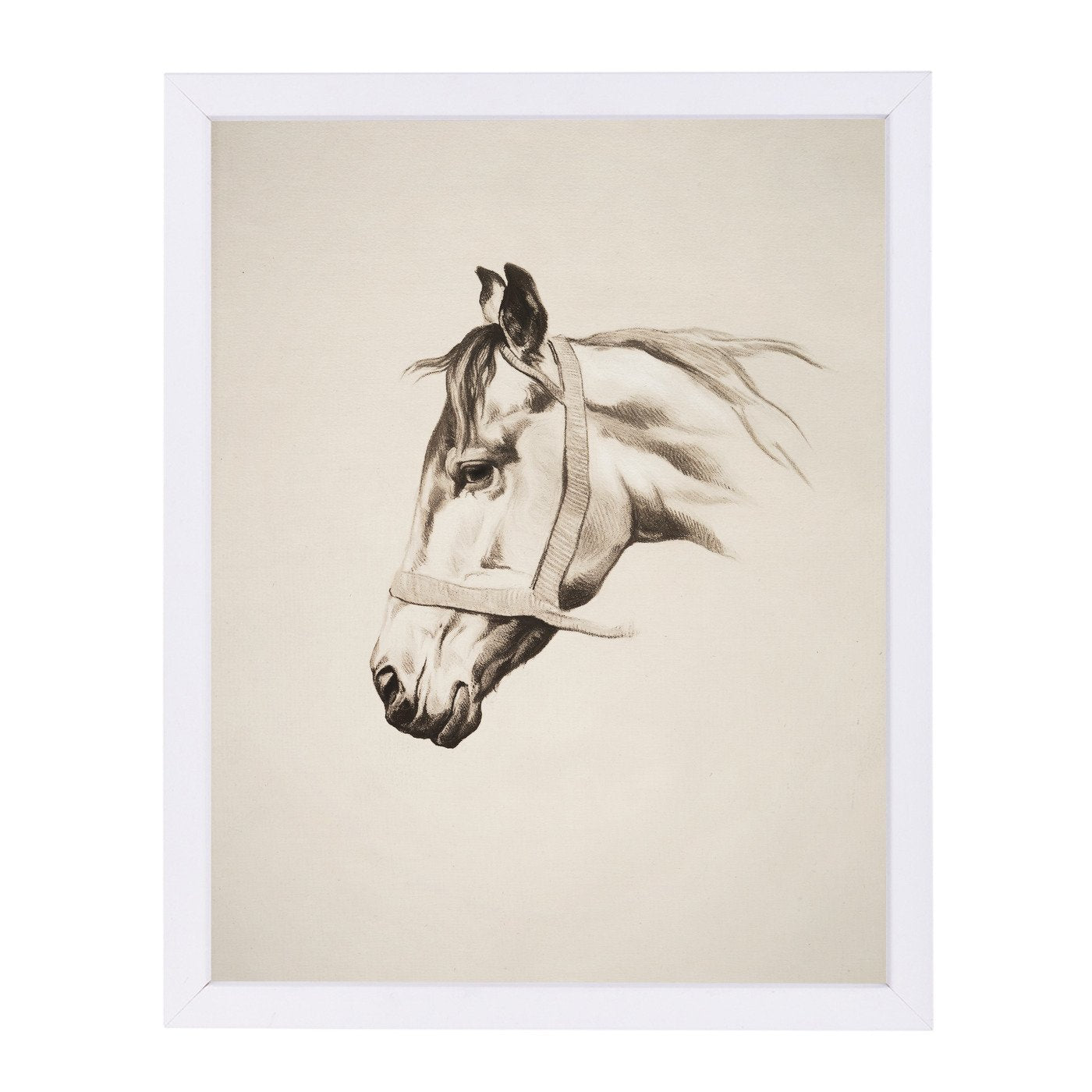 Horse Head Ii By Chaos & Wonder Design - Framed Print - Americanflat