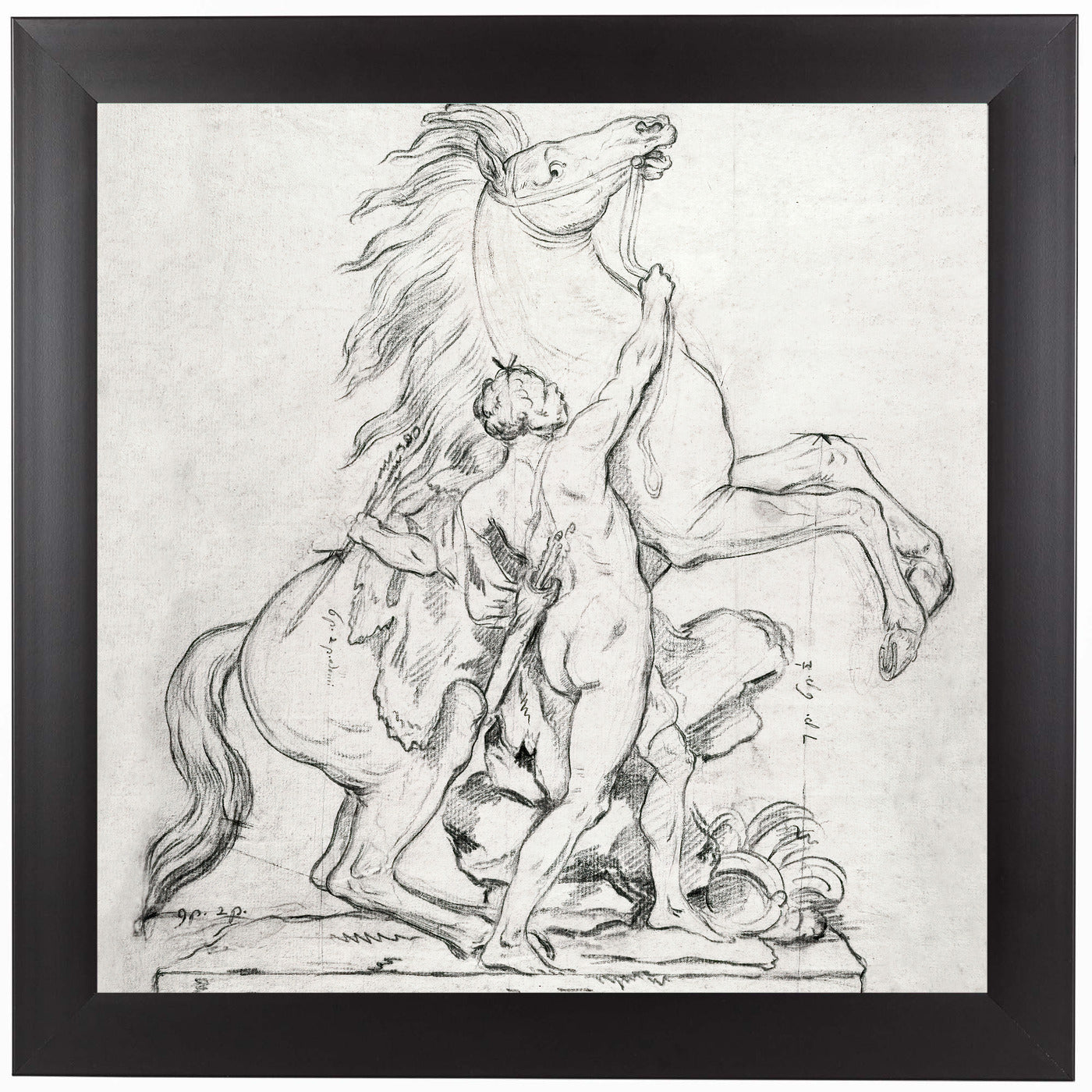 Study for Horses of Marly Statue Paris by Chaos & Wonder Design Black Framed Print - Wall Art - Americanflat