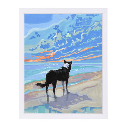 Boder Collie At Sunset By Mary Kemp - White Framed Print - Wall Art - Americanflat