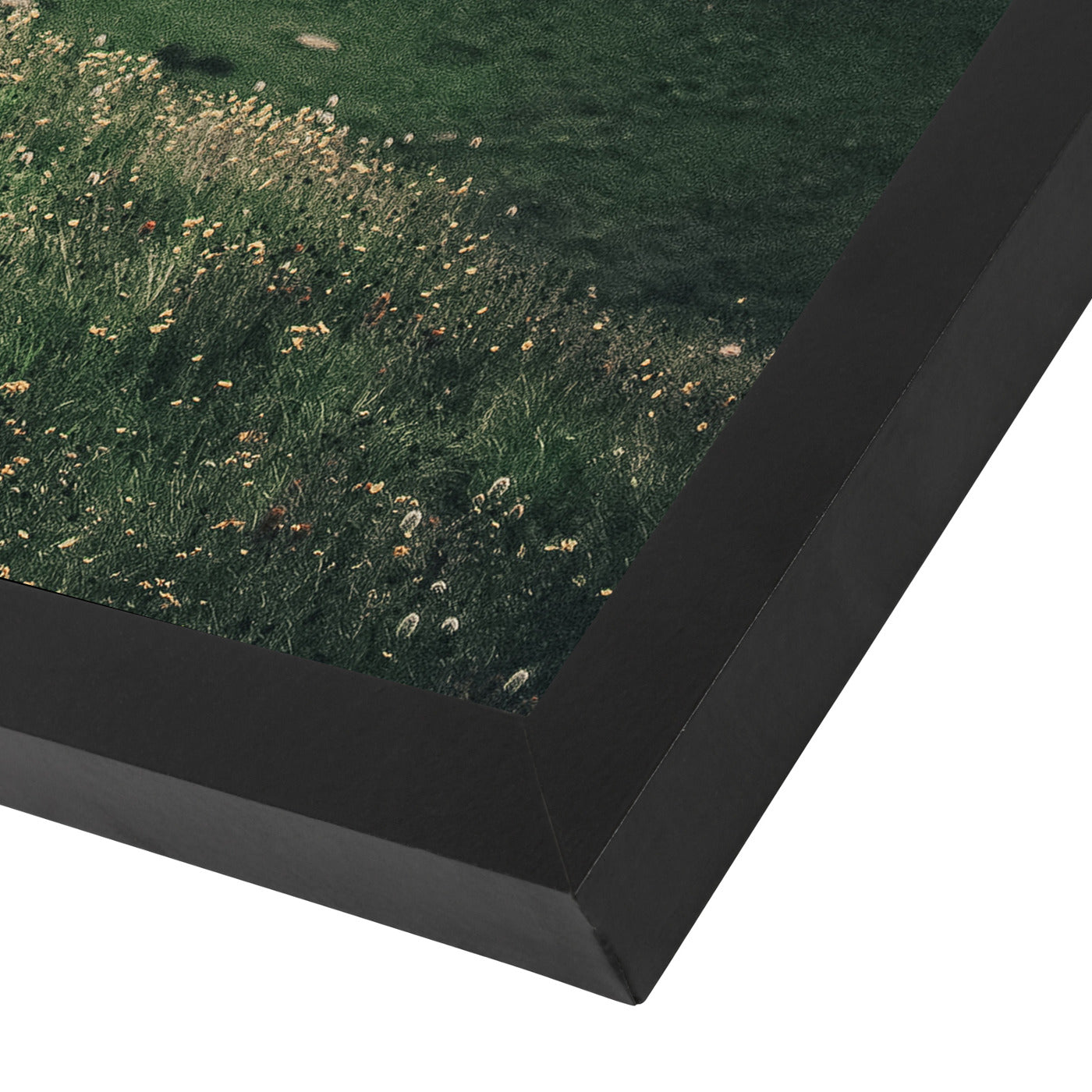 Colorado By Natalie Allen - Black Framed Print - Wall Art - Americanflat