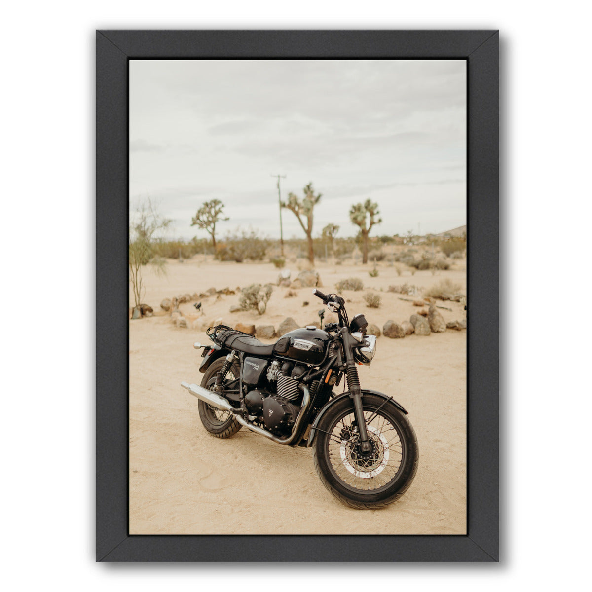 Joshua Tree Acres 2 By Natalie Allen - Black Framed Print - Wall Art - Americanflat