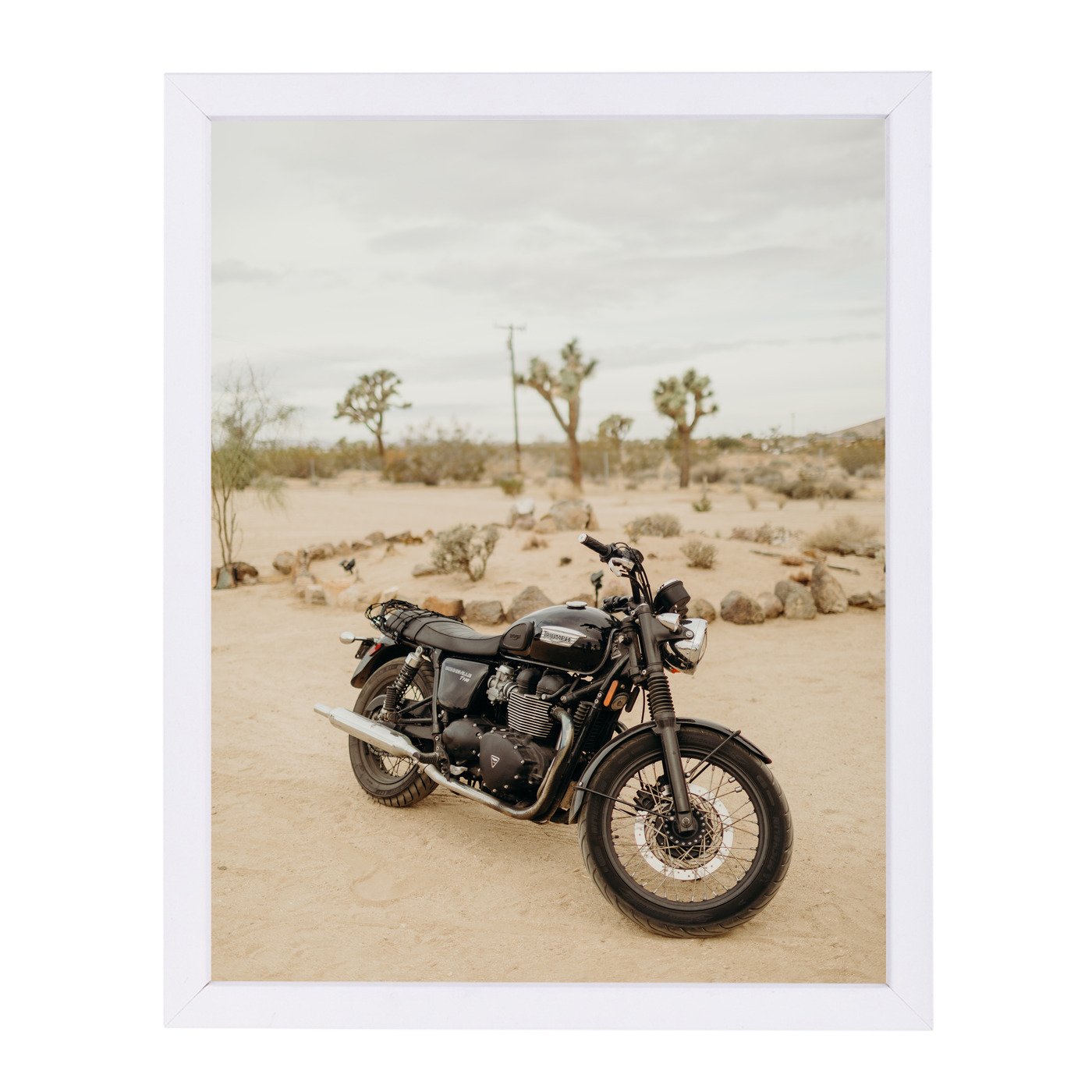Joshua Tree Acres 2 By Natalie Allen - Framed Print - Americanflat