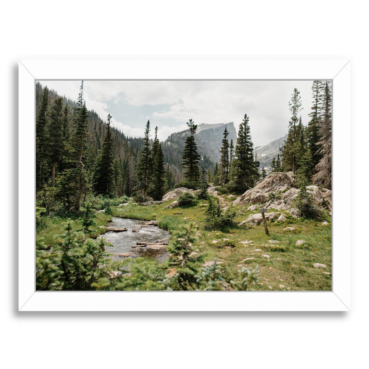 Rocky Mountain National Park By Natalie Allen - White Framed Print - Wall Art - Americanflat