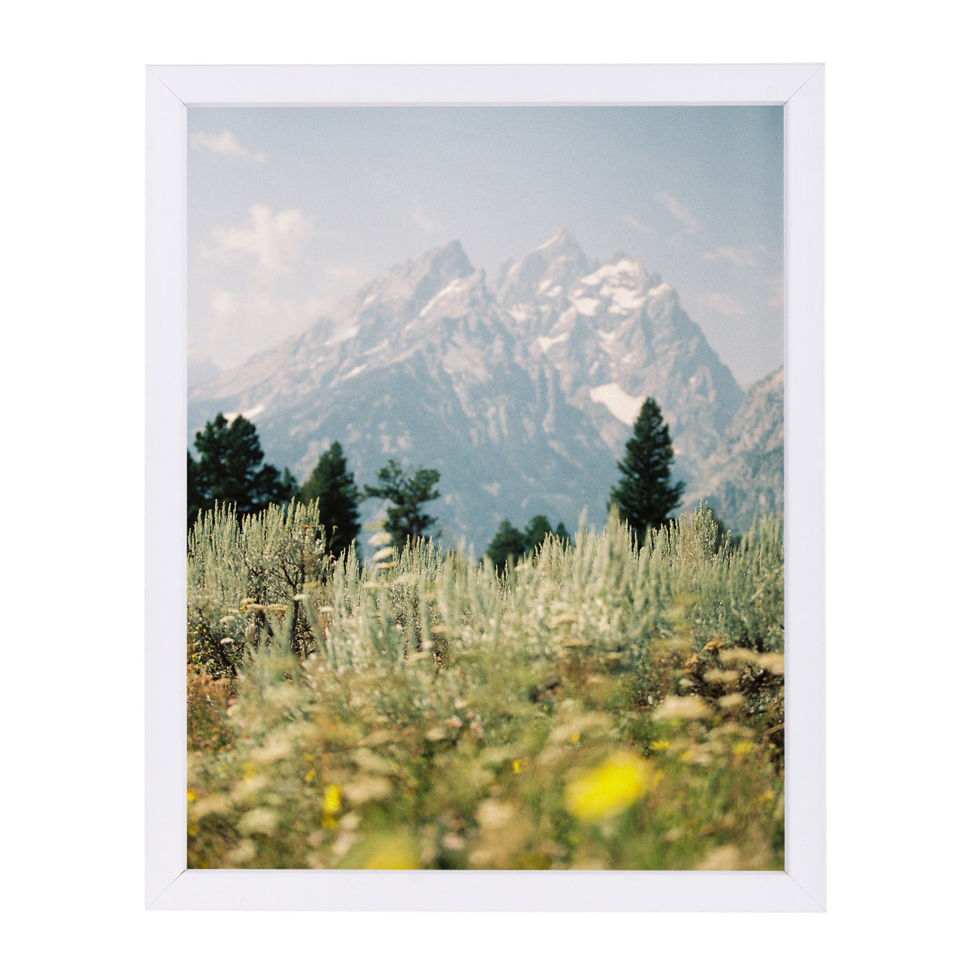 Grand Teton By Natalie Allen - White Framed Print - Wall Art - Americanflat