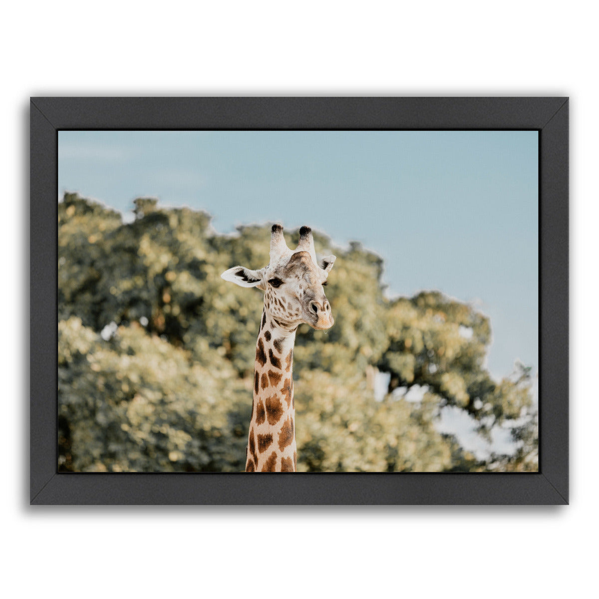 Zambia By Natalie Allen - Black Framed Print - Wall Art - Americanflat