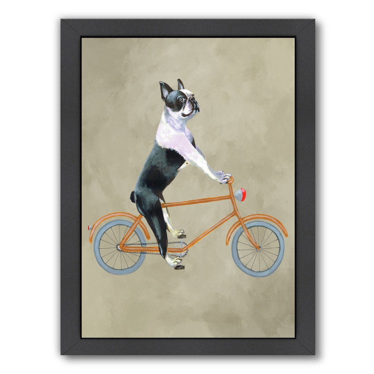 Boston Terrier On Bicycle By Coco De Paris - Black Framed Print - Wall Art - Americanflat