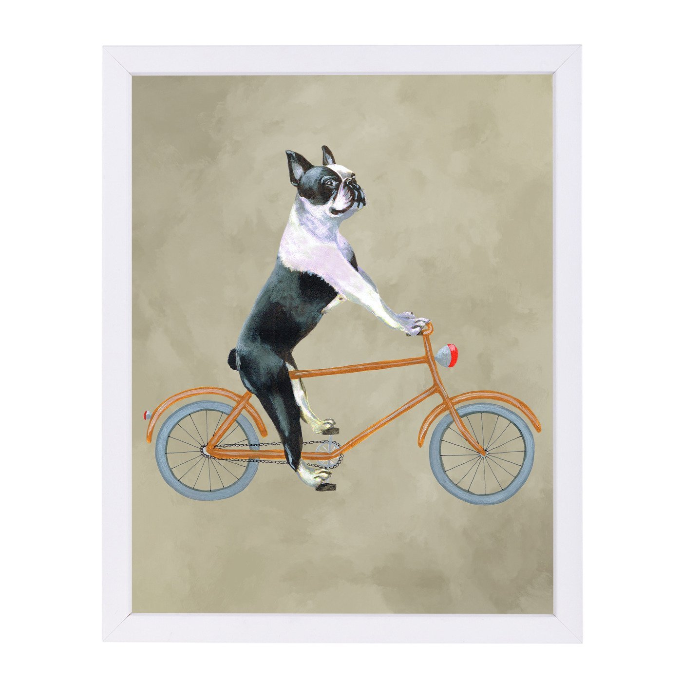 Boston Terrier On Bicycle By Coco De Paris - Framed Print - Americanflat