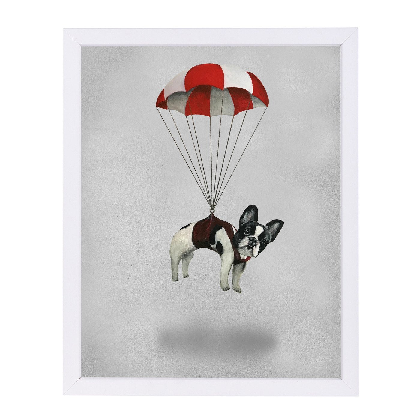 Bulldog With Parachute By Coco De Paris - White Framed Print - Wall Art - Americanflat