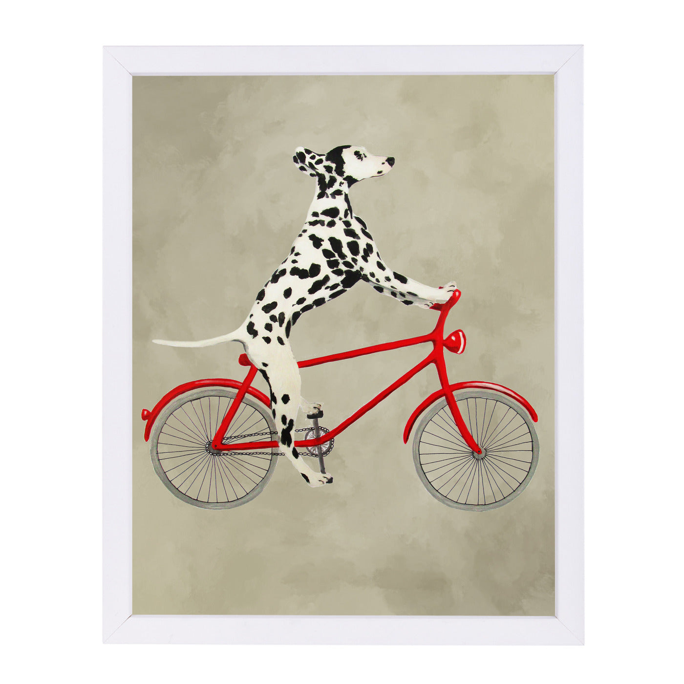 Dalmatian On Bicycle By Coco De Paris - White Framed Print - Wall Art - Americanflat
