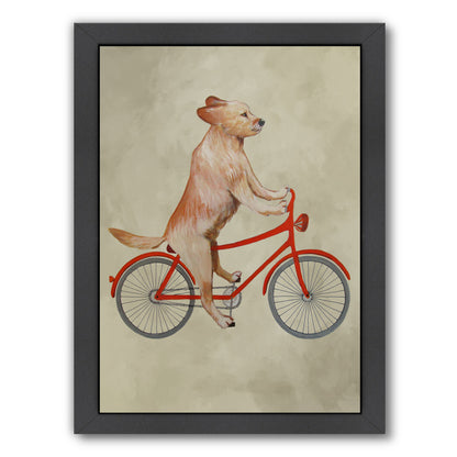 Golden Retriever On Bicycle By Coco De Paris - Black Framed Print - Wall Art - Americanflat