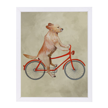 Golden Retriever On Bicycle By Coco De Paris - White Framed Print - Wall Art - Americanflat