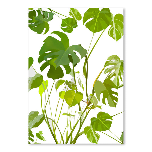 Monstera by Louise Robinson - Art Print - Americanflat
